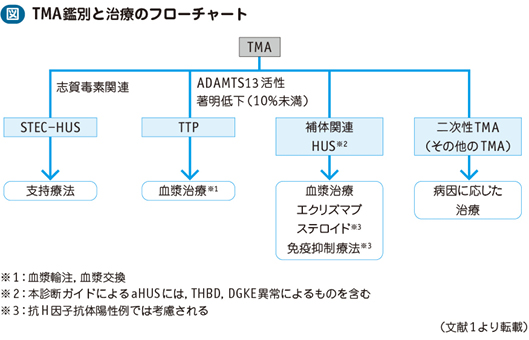 血栓性微小血管症（ＴＭＡ）診断・治療実践マニュアル/医薬ジャ-ナル社/宮川義隆（単行本） 血栓性微小血管症（TMA） – 日本医事新報社