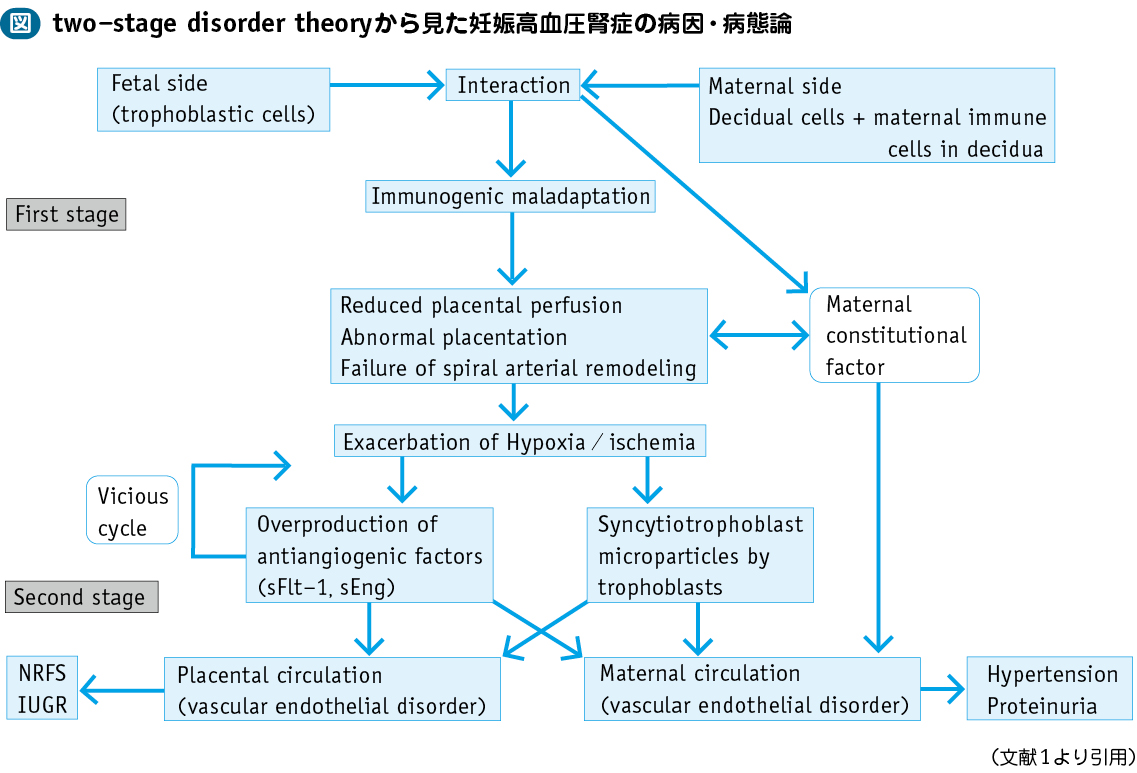 妊娠高血圧症候群 – 日本医事新報社