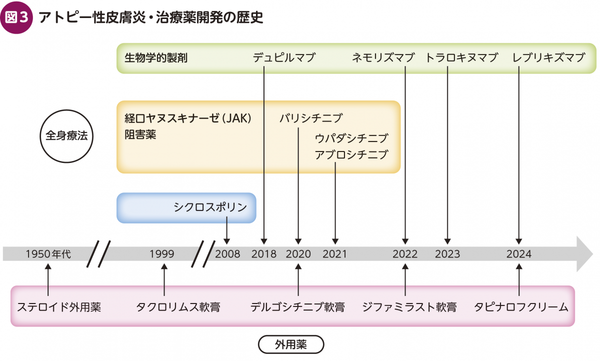 FOCUS：アトピー性皮膚炎診療の変革 〈新規治療を使いこなす〉 – 日本