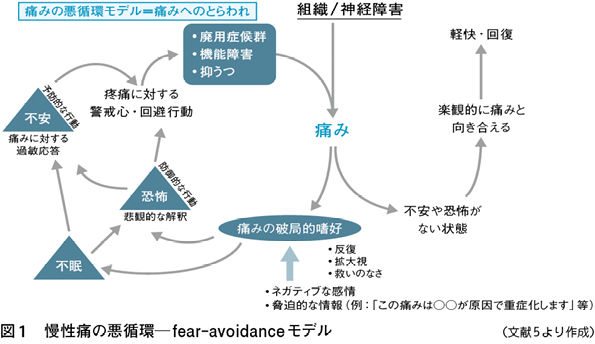2）運動器の慢性痛の発生機序別にみたトラマドール製剤の使用［特集