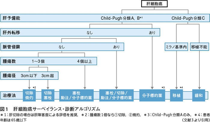 1）肝癌における最新治療アルゴリズム─肝癌診療ガイドライン2017年版