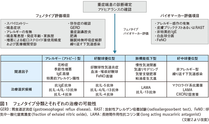 難治性喘息診断と治療の手引き ２０１９　ほか 難治性喘息診断と治療の手引き2019［ガイドライン ココだけおさえる