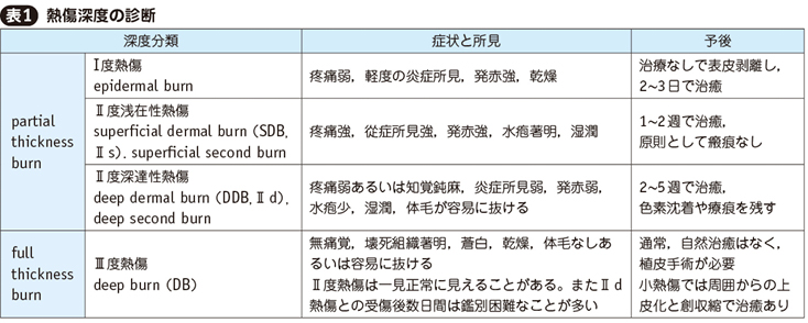 熱傷［私の治療］ – 日本医事新報社