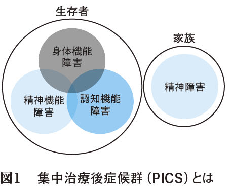 識者の眼】「集中治療後症候群（PICS）の解決は高齢化社会で喫緊の課題